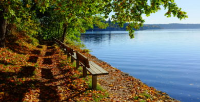 Guaranteed Universal Life Insurance Rates for 60 Year Olds - benches by lake